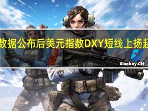 美国CPI数据公布后美元指数DXY短线上扬超20点现报104.98
