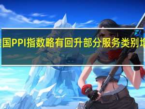 美国PPI指数略有回升 部分服务类别增长强劲