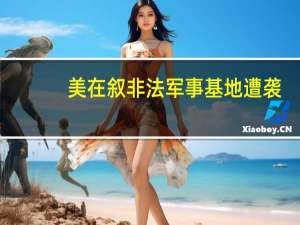 美在叙非法军事基地遭袭