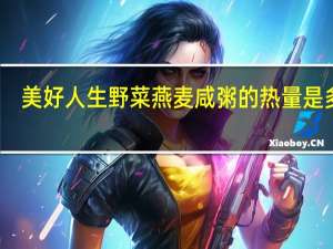 美好 人生 野菜燕麦咸粥的热量是多少