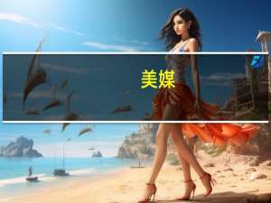 美媒：五角大楼首次承认美军向加沙上空部署侦察无人机