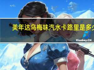 美年达 乌梅味汽水卡路里是多少