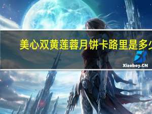 美心 双黄莲蓉月饼卡路里是多少