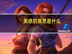 美感的意思是什么