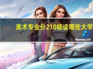美术专业分210能读哪些大学