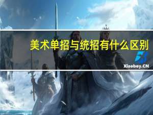 美术单招与统招有什么区别