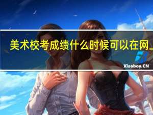 美术校考成绩什么时候可以在网上查