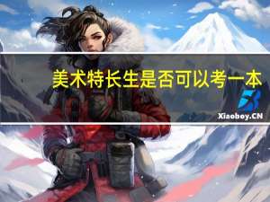 美术特长生是否可以考一本