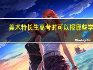 美术特长生高考时可以报哪些学校