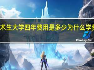 美术生大学四年费用是多少为什么学费那么贵
