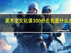 美术生文化课300分左右是什么水平