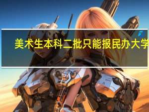美术生本科二批只能报民办大学吗