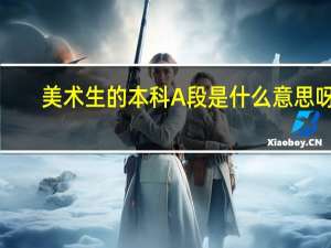 美术生的本科A段是什么意思呀！
