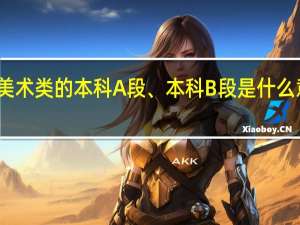 美术类的本科A段、本科B段是什么意思啊