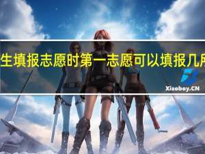 美术类考生填报志愿时第一志愿可以填报几所学校几个专业