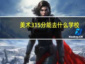 美术315分能去什么学校（美术315）