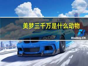 美梦三千万是什么动物（美梦三千万）