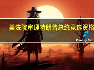 美法院审理特朗普总统竞选资格案