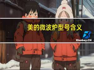 美的微波炉型号含义（美的微波炉型号）