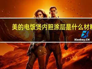 美的电饭煲内胆涂层是什么材料（美的电饭煲内胆）
