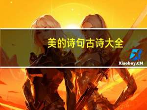 美的诗句古诗大全（美的诗句）
