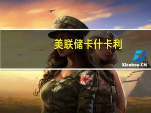 美联储卡什卡利：我们似乎正在走向软着陆