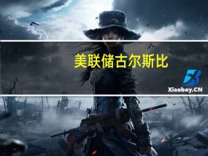 美联储古尔斯比：供应链中断是“混乱的阴云”的一部分