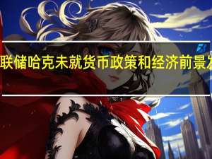 美联储哈克未就货币政策和经济前景发表评论