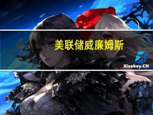 美联储威廉姆斯：美联储的工具箱足够广泛不需要采取负利率