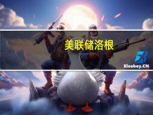 美联储洛根：美联储已经采取重要措施提供市场流动性支持