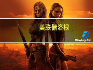 美联储洛根：货币政策实施的方式减少了流动性风险但并未消除