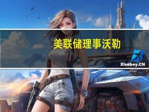 美联储理事沃勒：令人震惊的是尽管美联储政策紧缩就业市场仍然非常有韧性