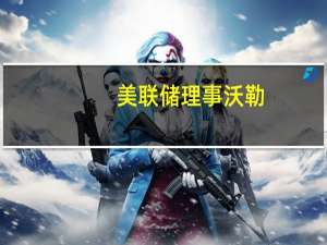 美联储理事沃勒：数据并未显示我们需要立即采取任何行动为美联储做出下一次利率决定提供了空间将使美联储能够谨慎前进