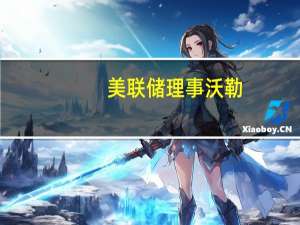 美联储理事沃勒：显然发行量必然对国债收益率产生影响