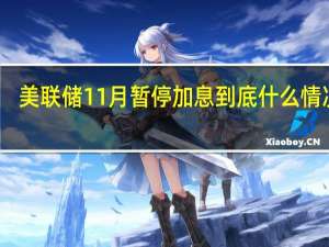 美联储11月暂停加息 到底什么情况呢
