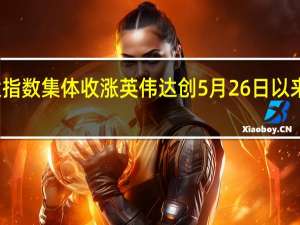 美股三大指数集体收涨 英伟达创5月26日以来最大单日涨幅