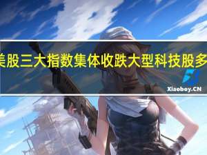 美股三大指数集体收跌 大型科技股多数下跌