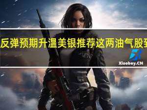 美股年底反弹预期升温 美银推荐这两油气股 到底什么情况嘞