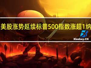 美股涨势延续标普500指数涨超1%纳指涨1.51%道指涨0.46%