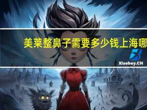 美莱整鼻子需要多少钱 上海哪家做鼻子好