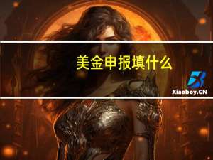 美金申报填什么