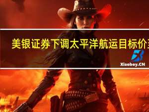 美银证券下调太平洋航运目标价至3.35港元 评级买入