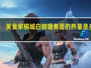 美食家 槟城白咖喱煮面的热量是多少