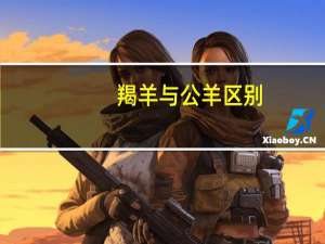 羯羊与公羊区别（羯羊）