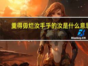 羹得毋烂汝手乎的汝是什么意思