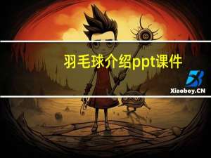 羽毛球介绍ppt课件（羽毛球介绍）