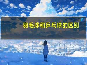 羽毛球和乒乓球的区别