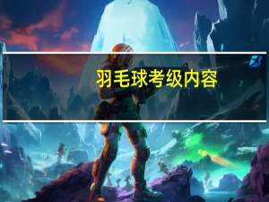 羽毛球考级内容