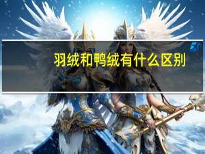 羽绒和鸭绒有什么区别