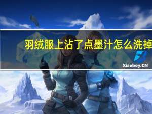羽绒服上沾了点墨汁怎么洗掉